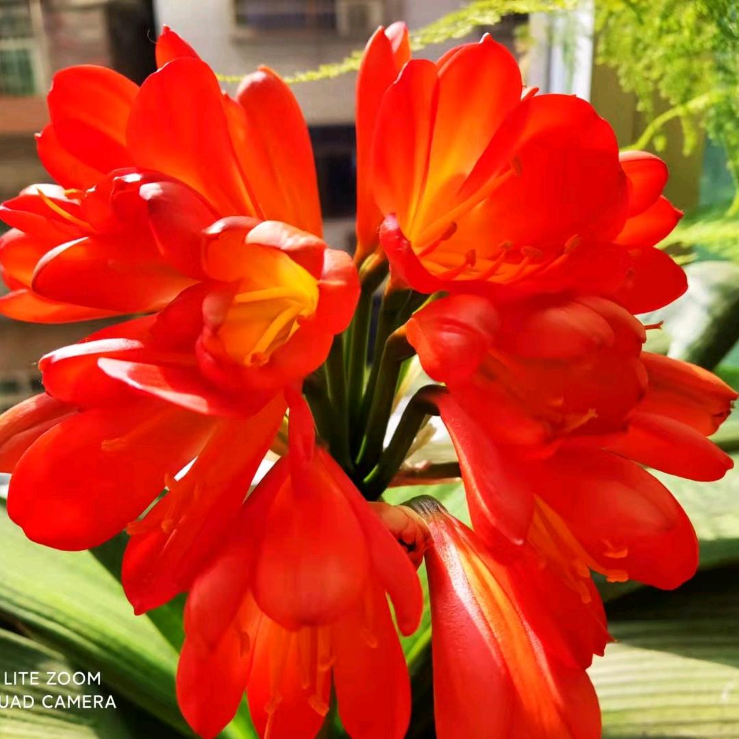 🎄哦！❤️你好👍