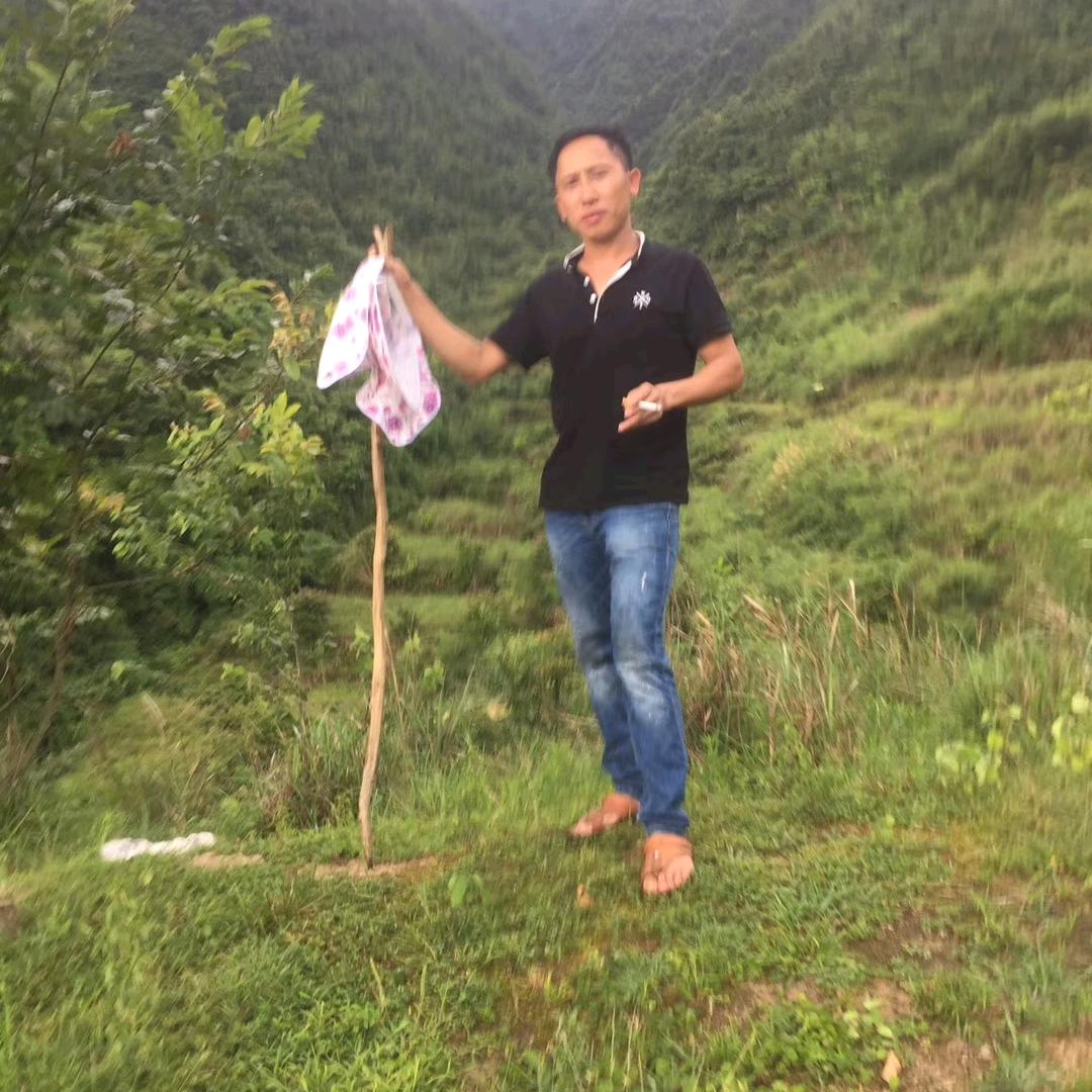 平静清如水