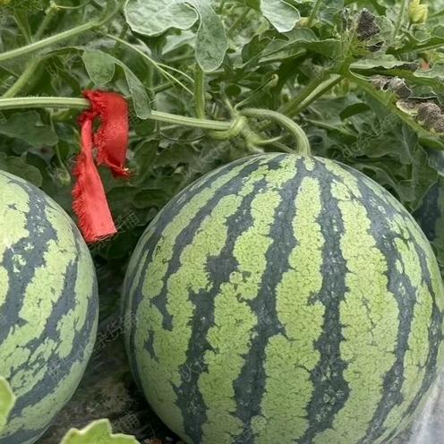 小时达福利专场