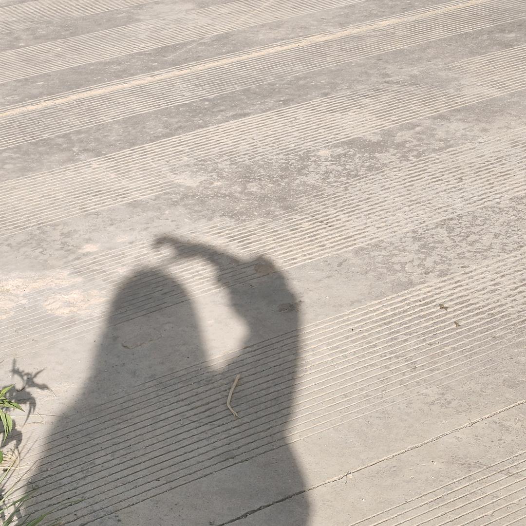 游乐娃紫