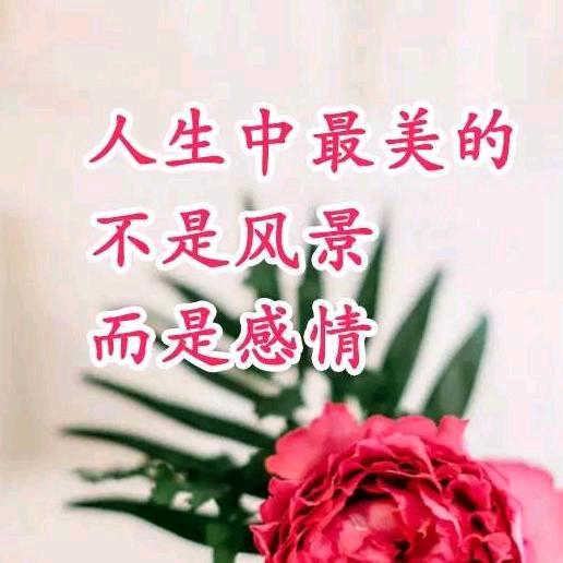 回不去的青春