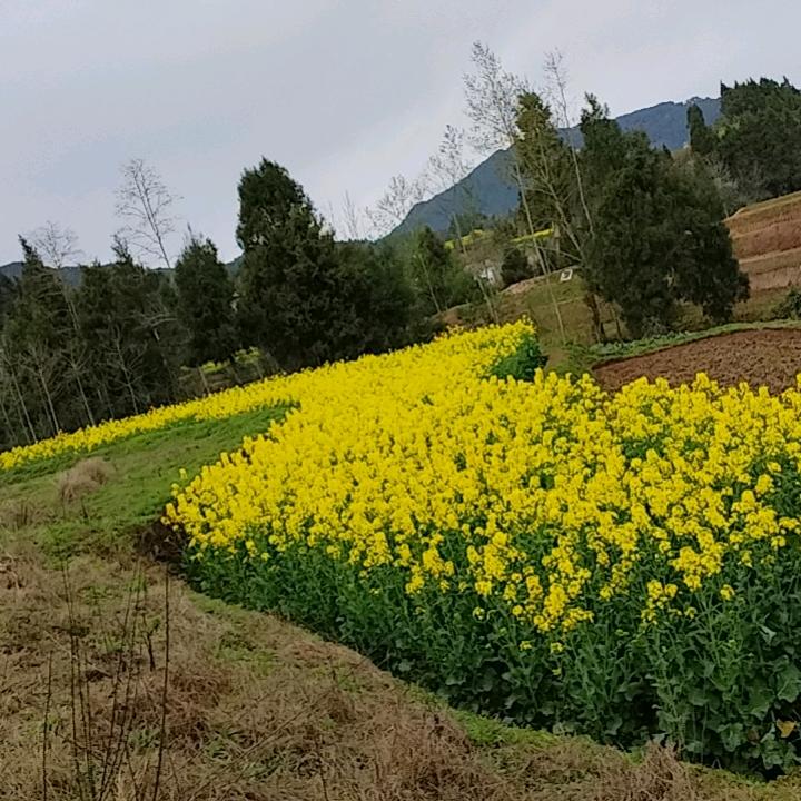 坚持就是胜利