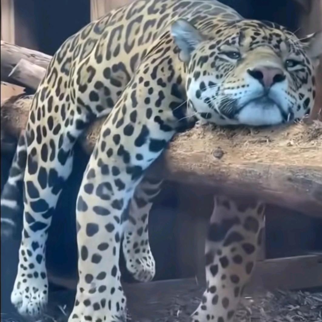 钞