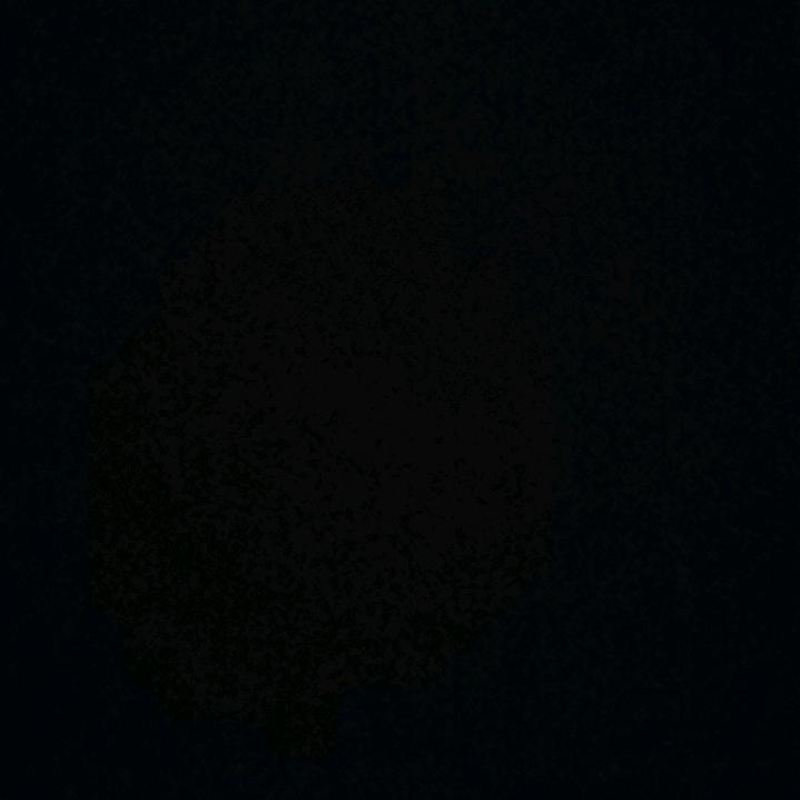 金也是铲铲