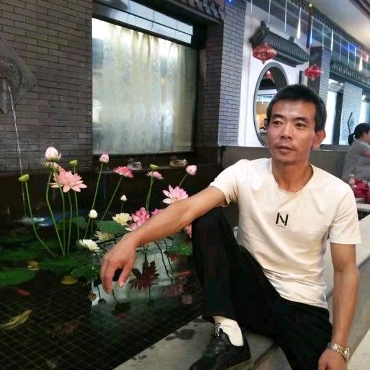 红尘有你