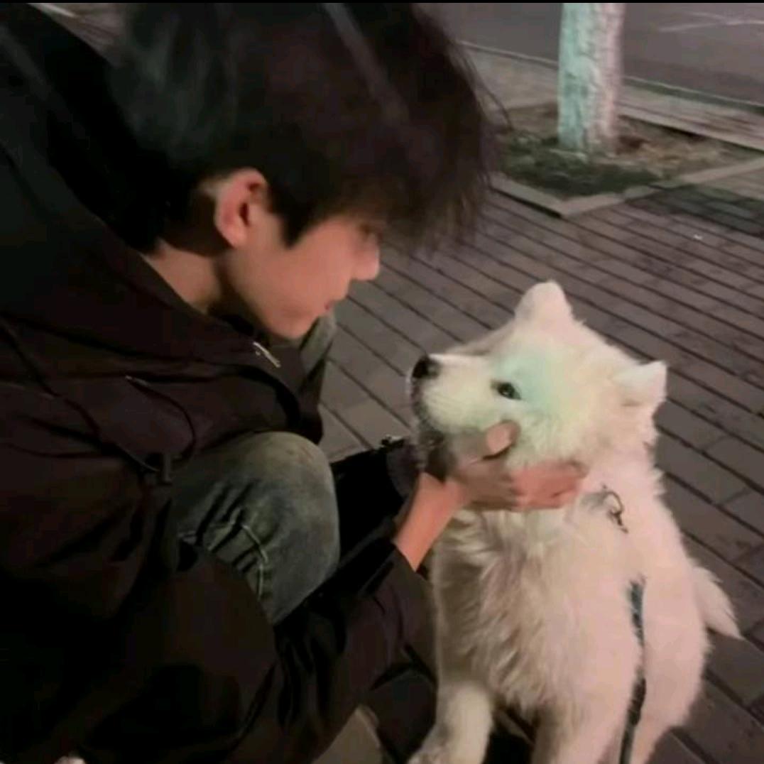 Kevin★