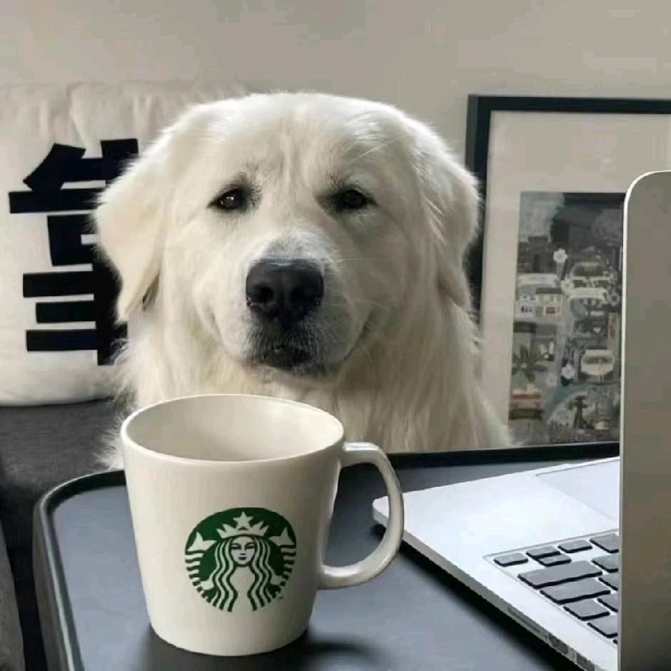 存日