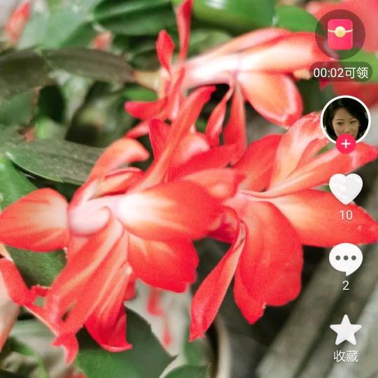 云篇