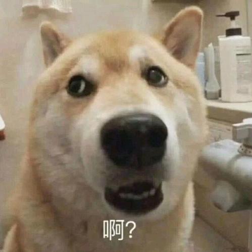 。。。。头像