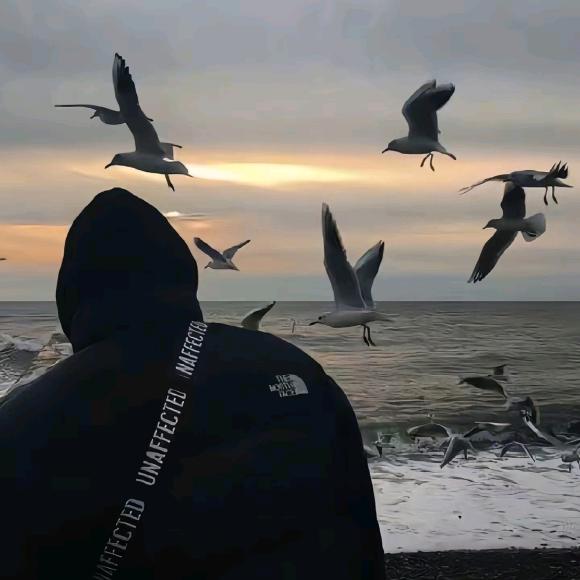 重生之我在工地搬砖给媳妇点男模