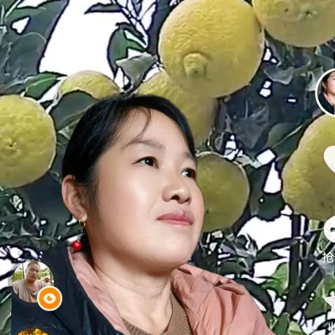 杨梅果果
