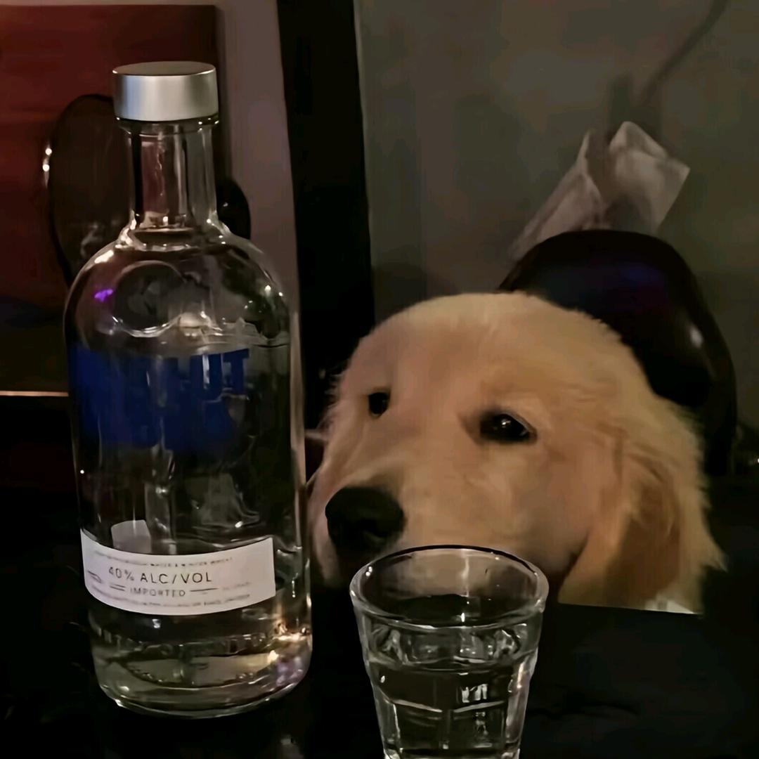 赴约花海