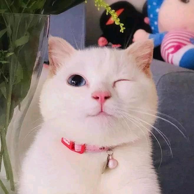 忆