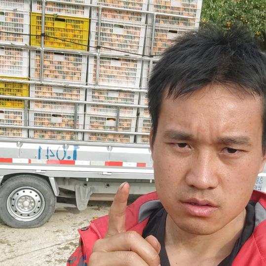 可不可（糖心苹果）