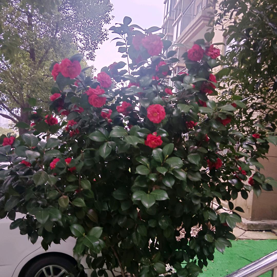 用户9004693788395