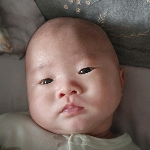 兰: