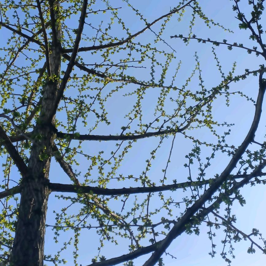 ໑ຼₒ₂₄ღ᭄枫无痕🕊꧔ꦿ᭄