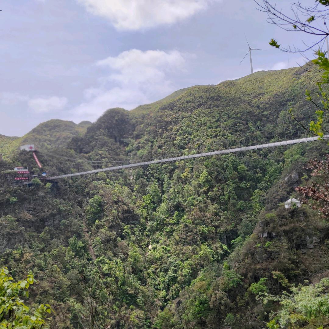 如果这个世界真的有如果