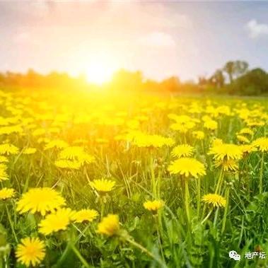 事成☀☀☀☀☀☀☀☀☀☀