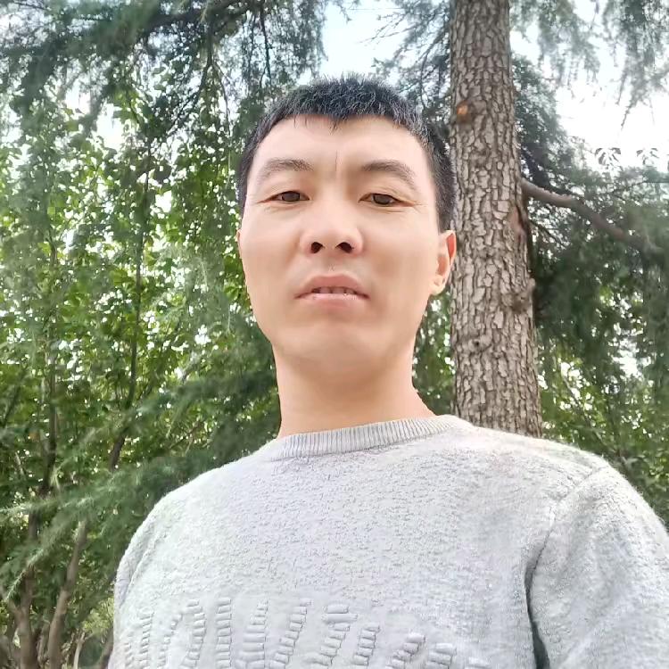 双智星