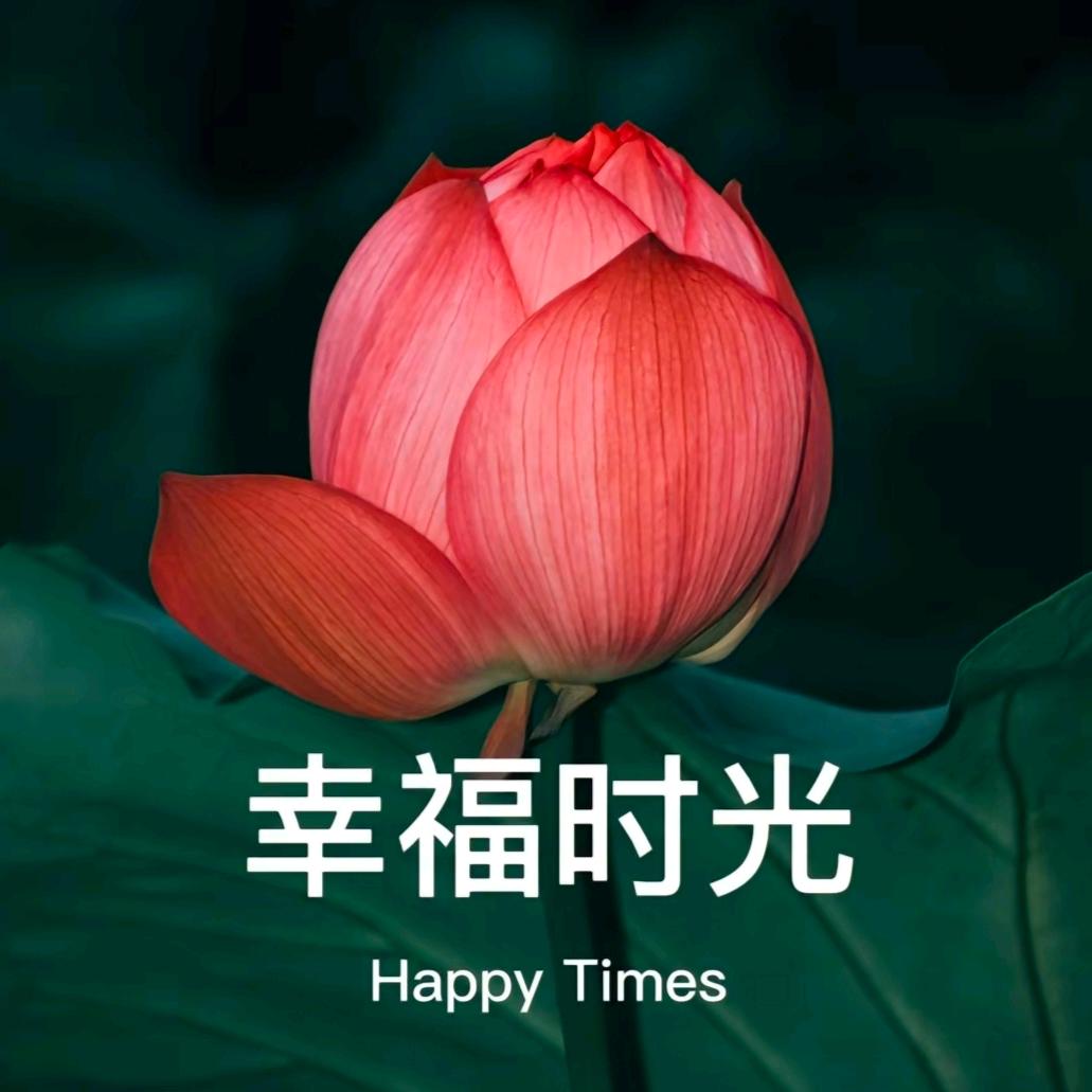 平安是福❤