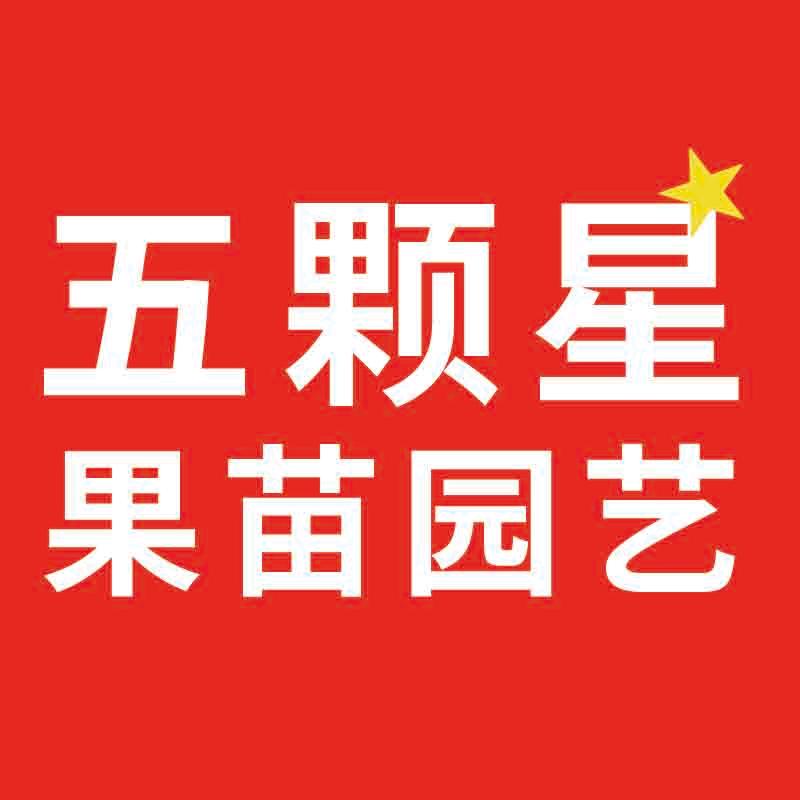 五颗星果苗园艺