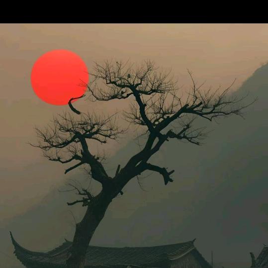 温如冰
