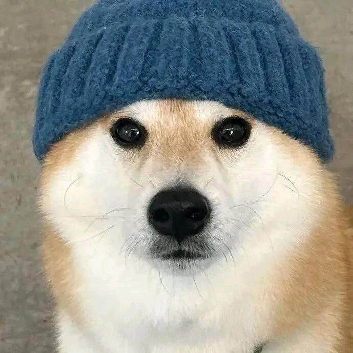 不。。。哈哈