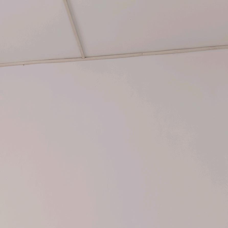 小甜甜，，