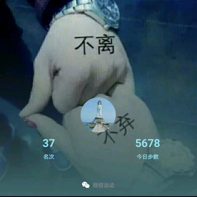 吉祥月宝861