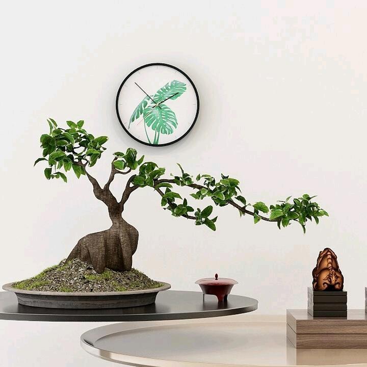 红太阳【誉得堂】