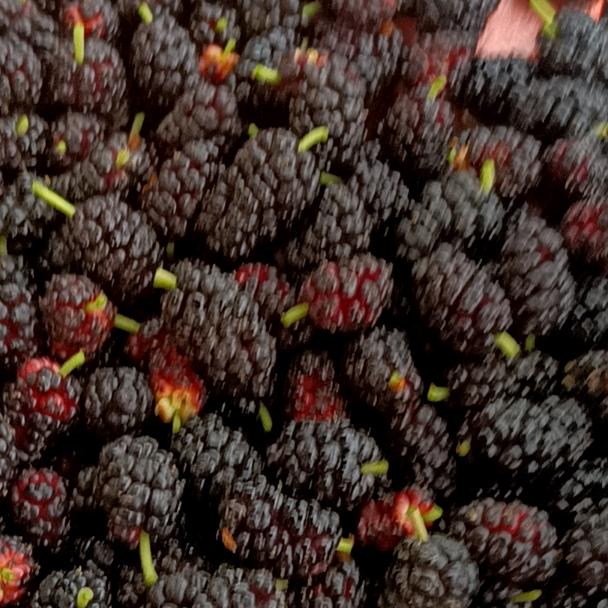ℳঞᩚ与你🍒谢逅٭꯭᭄࿐