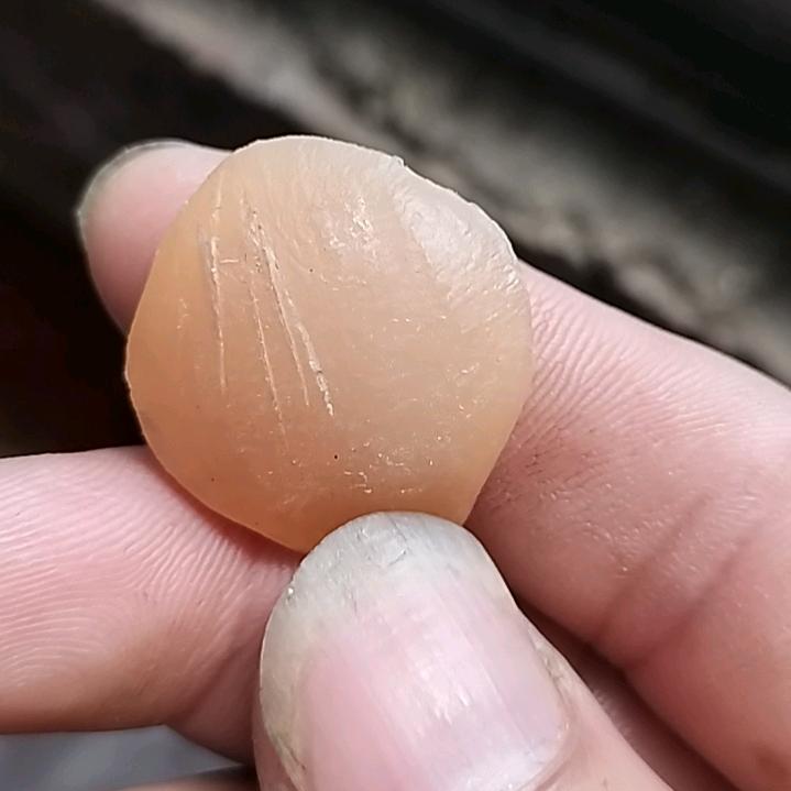 燦