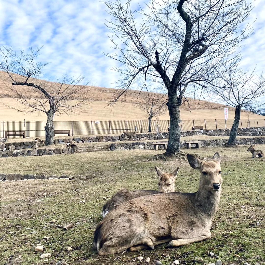 🌈蜕变王斌🌈