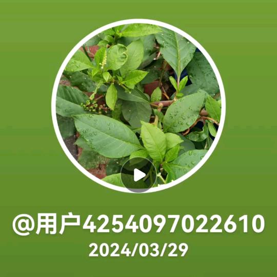 很幸福
