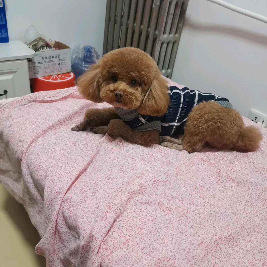 郝……………3779645548432