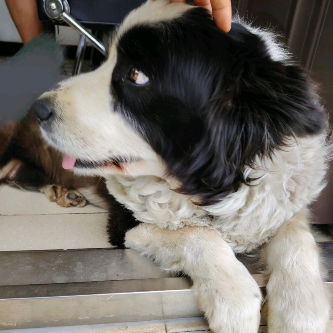 呦喂吴（暗区突围）