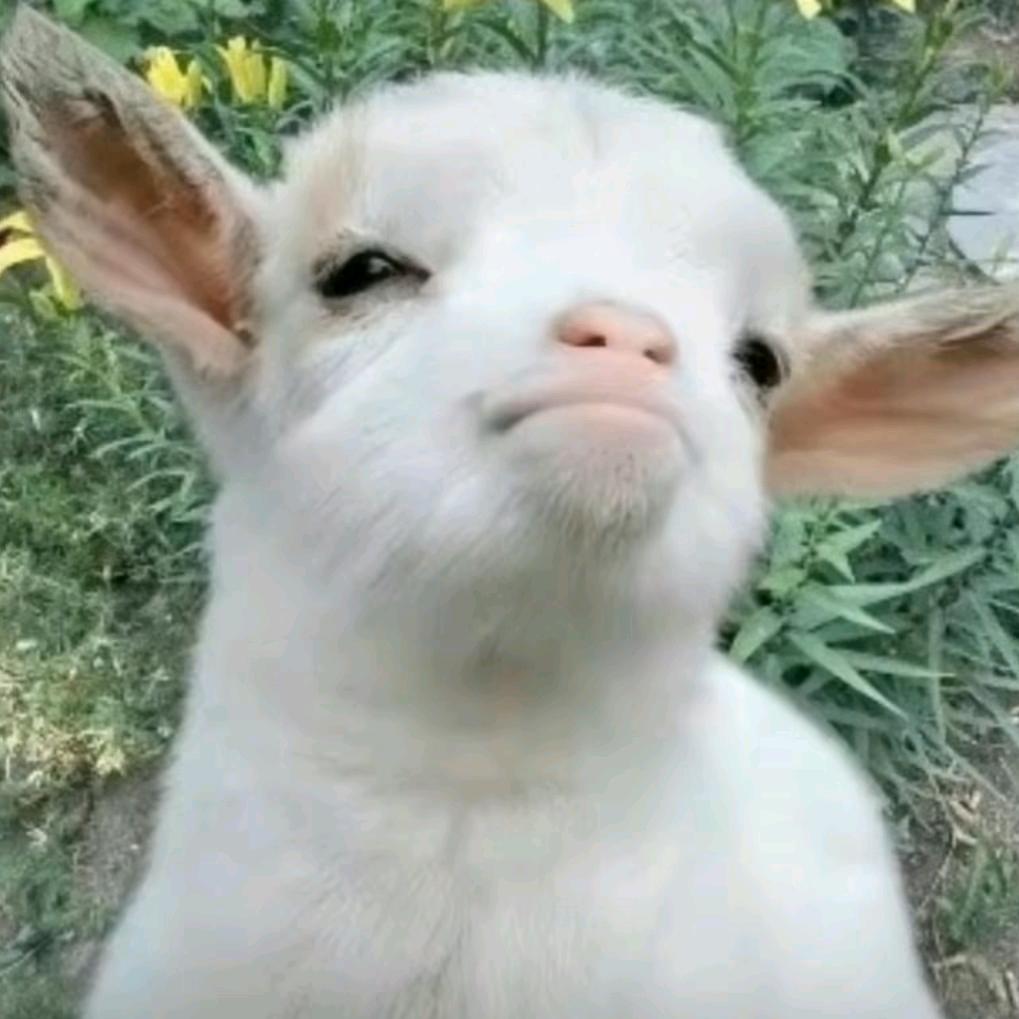 小甜心儿~^0^