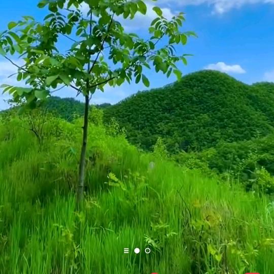 🔥💥☀️礼🐟尚往来🐯