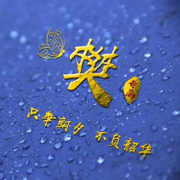 抚平余生