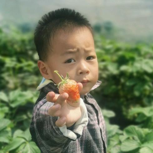 有朋自远方来虽远必诛