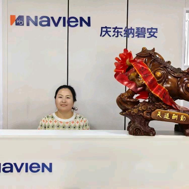 艾瑞科壁挂炉佳歌集成灶