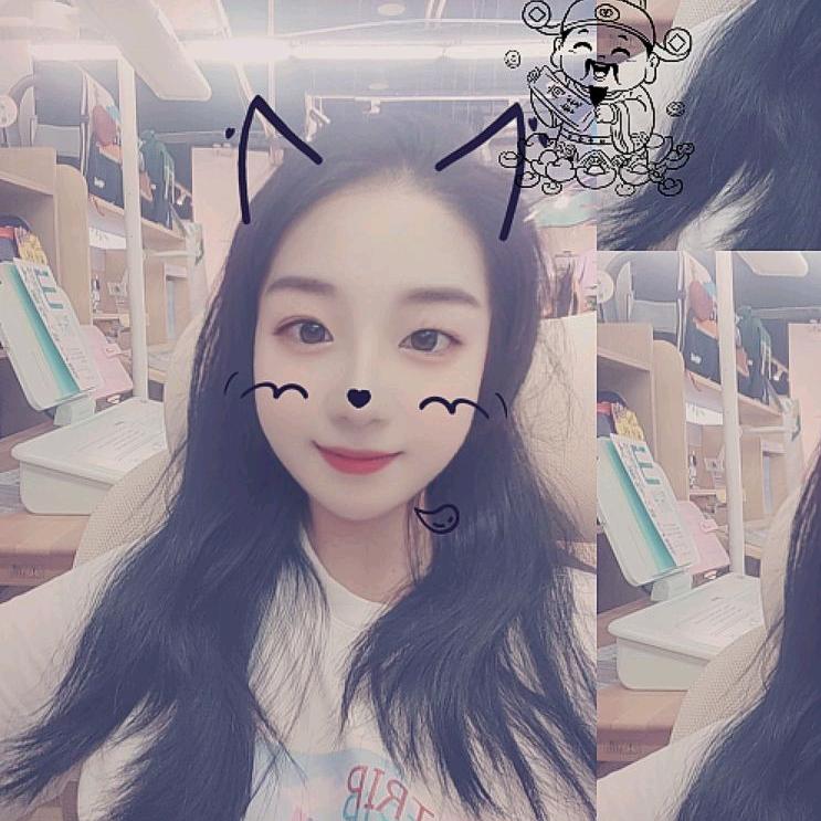 等风来不如随风去🌈