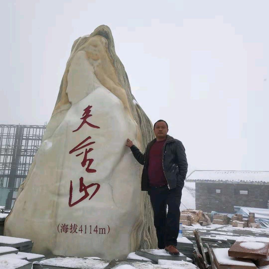 杨涛