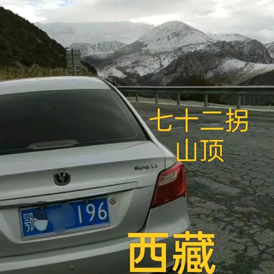 水生木