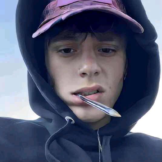粑粑拨鼠