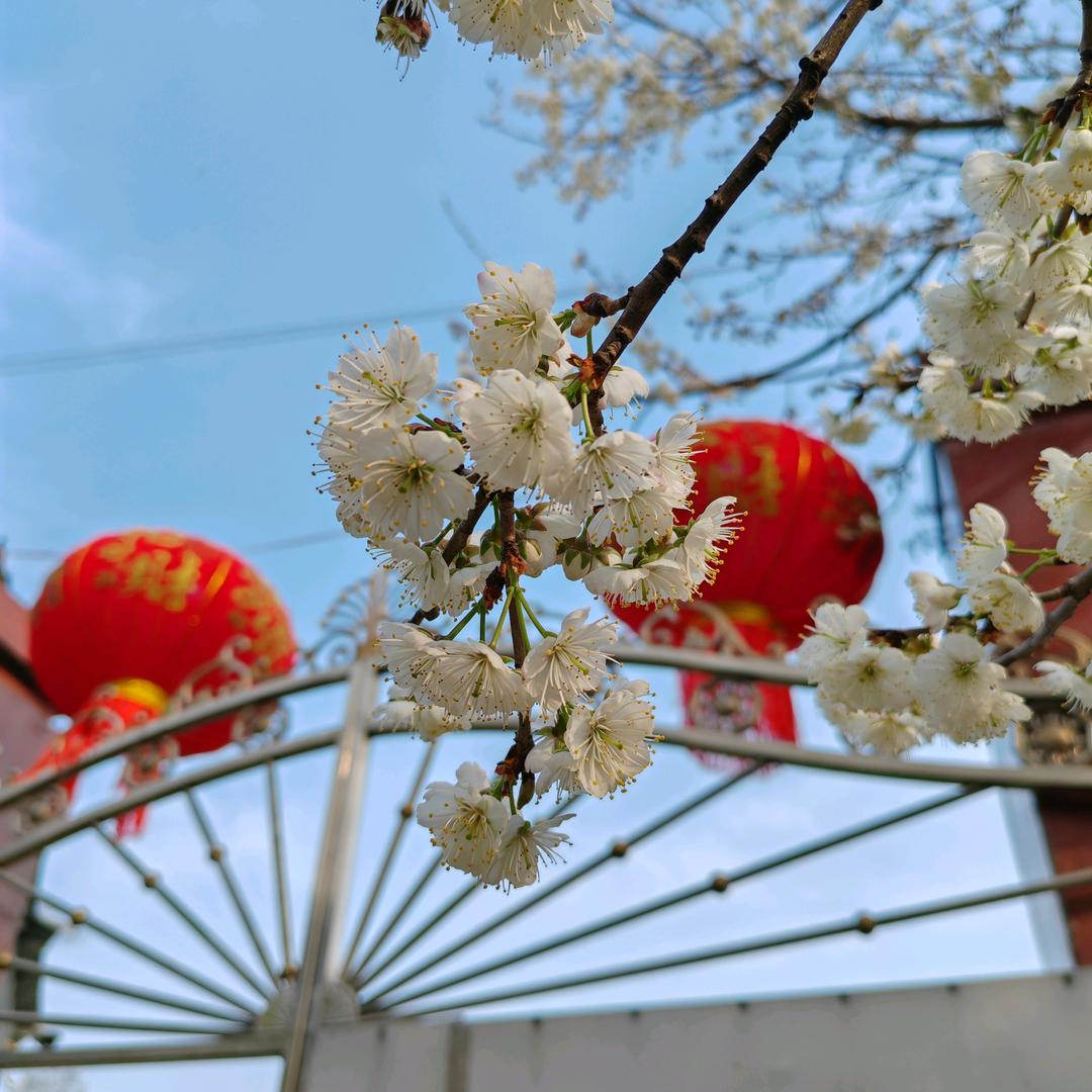 习惯
