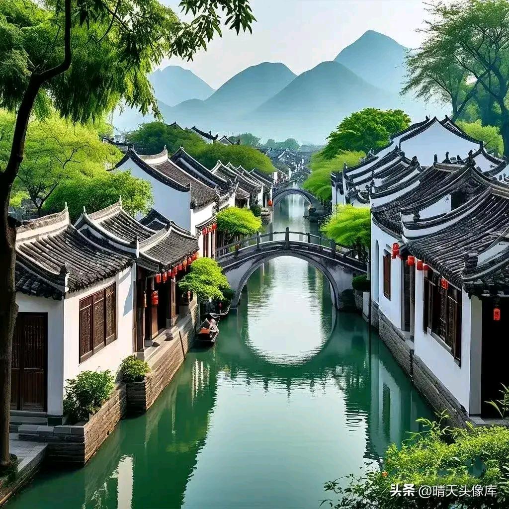 💝林☪️
