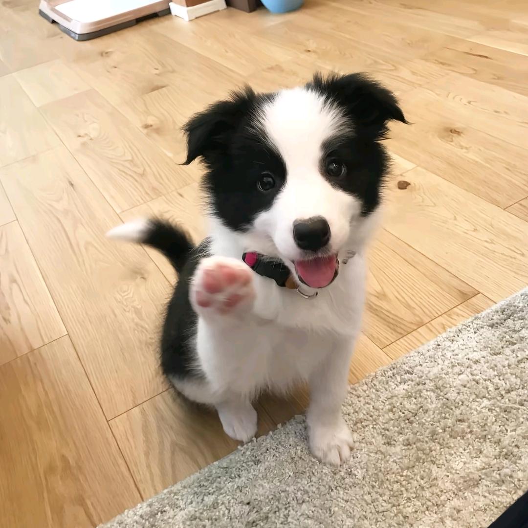 ㅤ  ㅤ我姐说我没脸