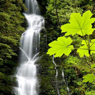 卖了时间换酒喝